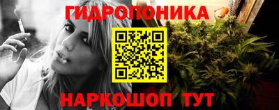 молекула духа Берёзовский