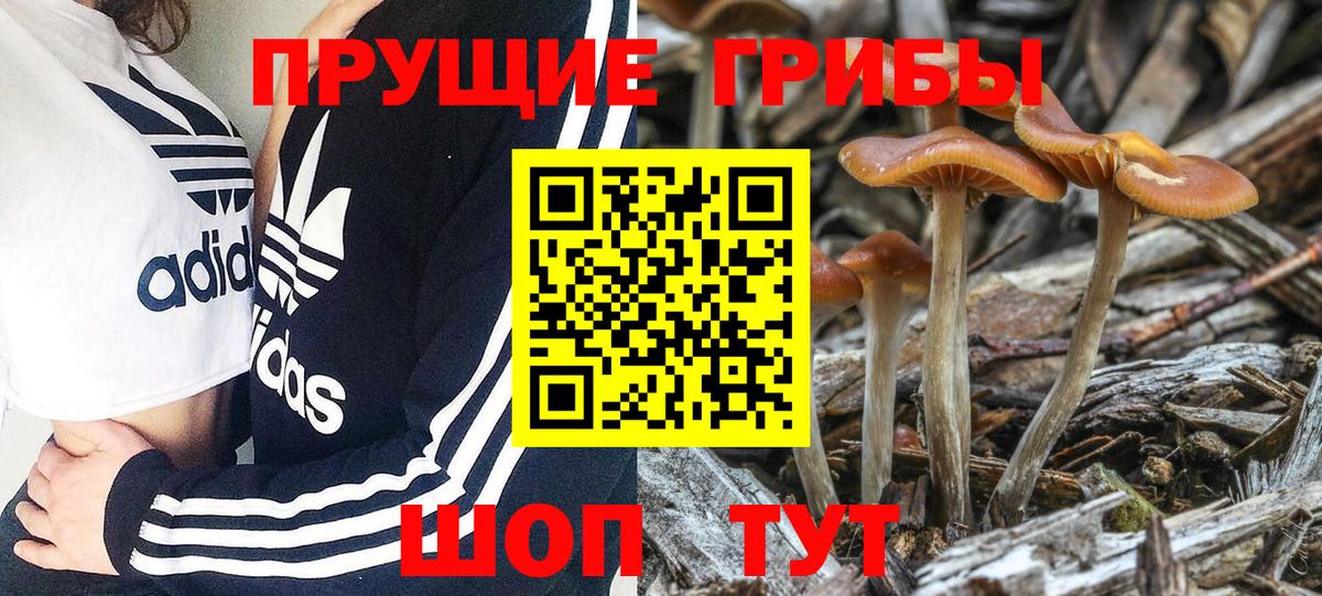 Галлюциногенные грибы мухоморы Дзержинский
