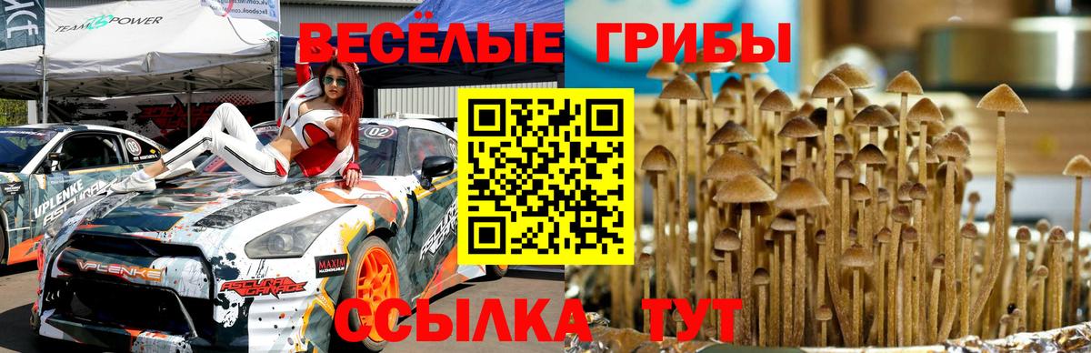 Дзержинский  Псилоцибиновые грибы мицелий  Вход с VPN 